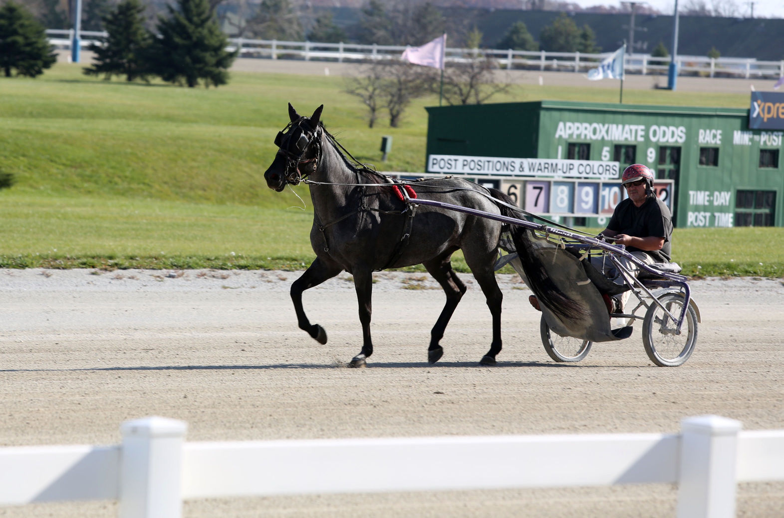 Balmoral Park to become show jumping facility
